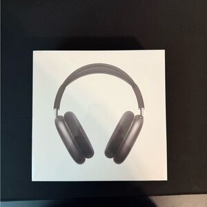 Apple Black Headphones